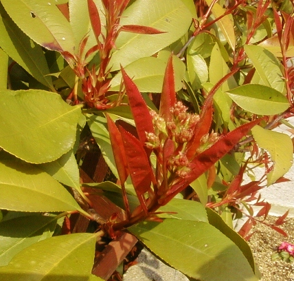 e0126576_13572378.jpg
