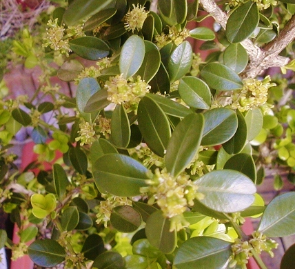 e0126576_14111868.jpg