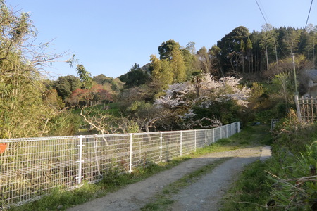 f0133776_213233.jpg