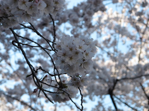 d0042380_20102853.jpg