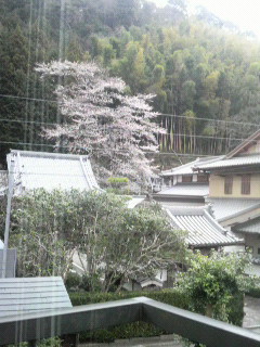 f0228680_12142937.jpg
