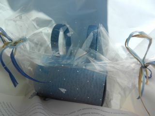 2012年4月6日 テラスデビュー_b0098584_1851136.jpg