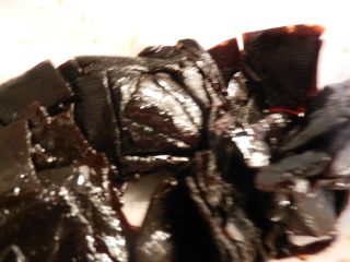2012年4月6日 テラスデビュー_b0098584_18561343.jpg