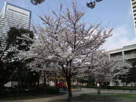 f0091785_20282.jpg