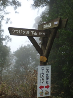 筑波山 （富士登山トレーニングツアー）　最終章 　つつじヶ丘まで♪_e0195587_19384077.jpg