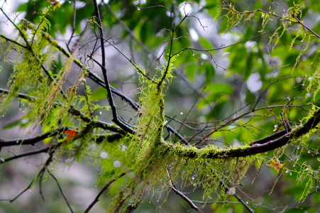 d0133693_1534783.jpg