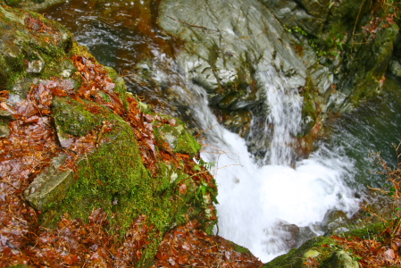 d0133693_15403180.jpg