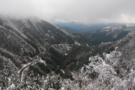d0133693_15442561.jpg