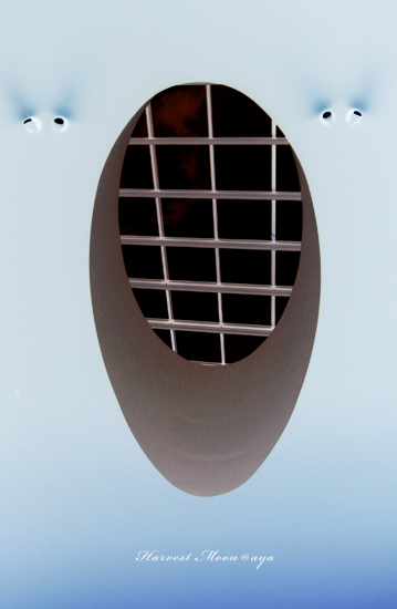 宇宙船内?_b0208495_2231655.jpg