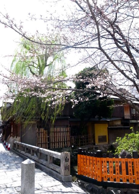 バカラ マレンヌ・Marennes_c0108595_0465364.jpg