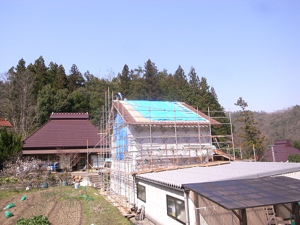 d0087595_1074625.jpg