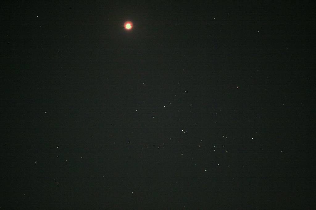 b0024798_101039.jpg