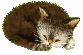 c0074000_22372219.gif