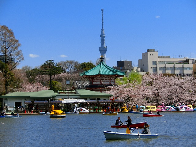 桜咲くぅ　不忍池周辺　!(^^)!_b0190603_1793176.jpg