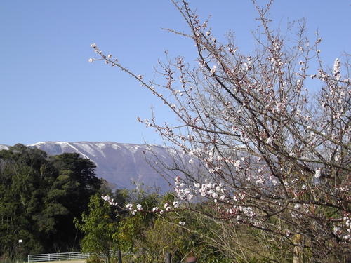 c0156104_23152665.jpg