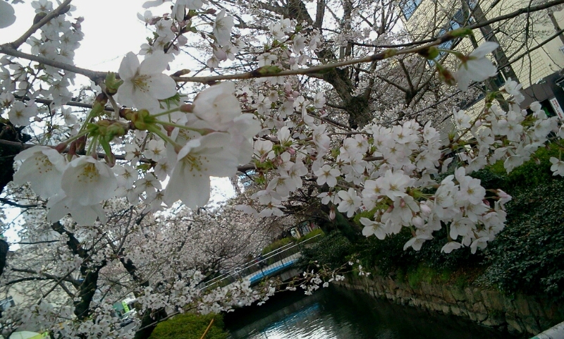 c0212604_2121852.jpg