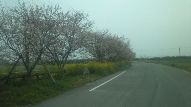 f0209204_034279.jpg