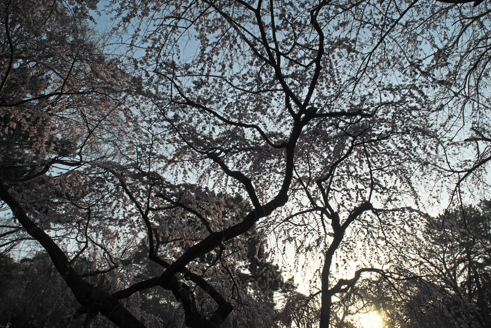 b0221605_9494394.jpg