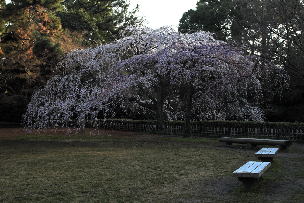 b0221605_950549.jpg