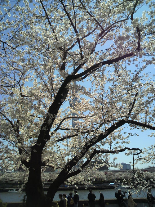 e0031605_16404960.jpg