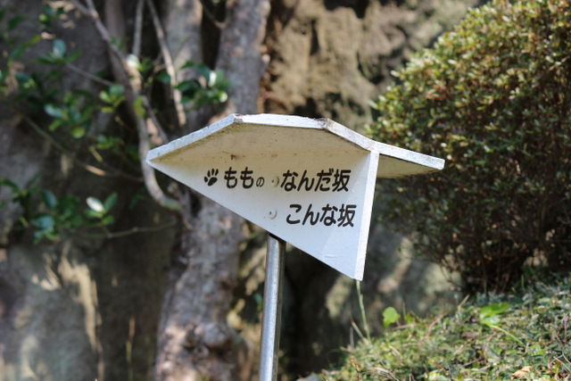 f0224506_21111868.jpg