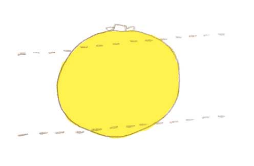 図解 : グレープフルーツのむきかた_d0151007_0134617.jpg