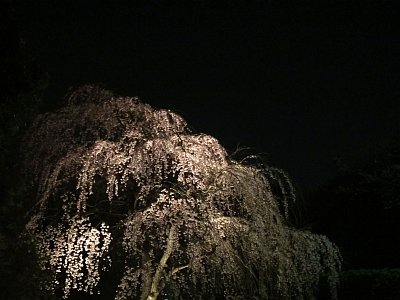 c0156908_8401232.jpg