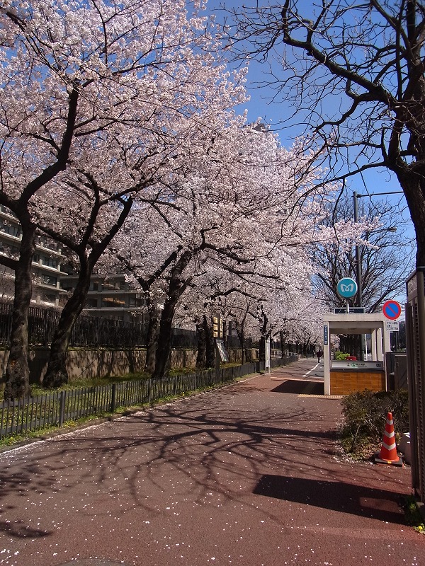 a0017909_23214740.jpg