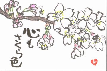 桜 満開 花追い人の絵手紙いろいろ