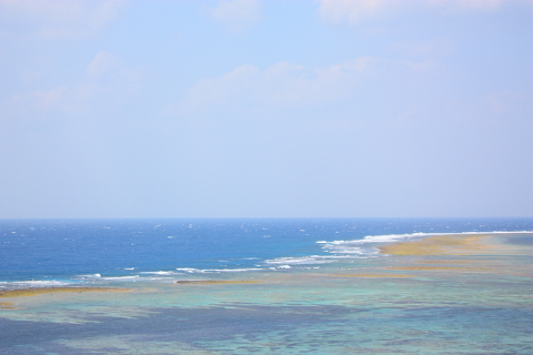 d0077811_2123149.jpg