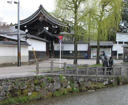 白川沿いの散策_e0048413_19202788.jpg