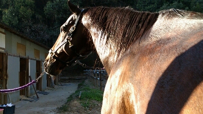 b0187620_20453982.jpg