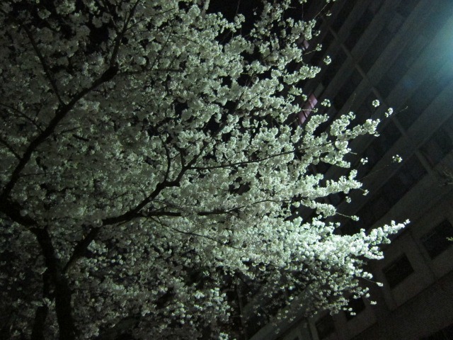 c0225420_81582.jpg