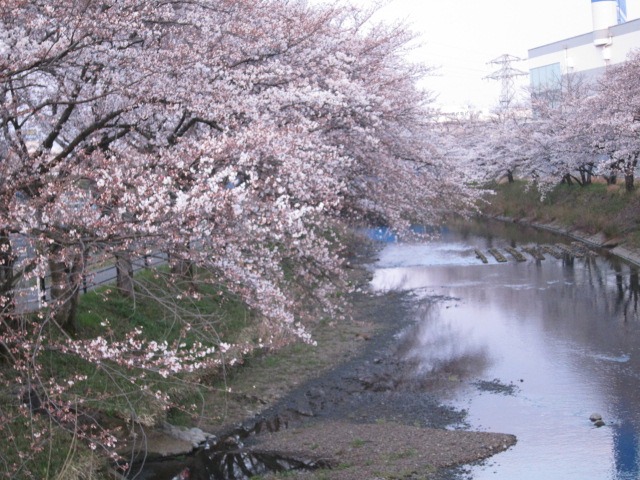 c0225420_8484554.jpg