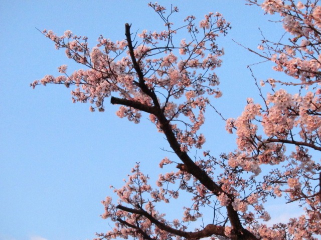c0225420_849077.jpg