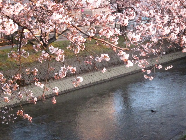 c0225420_8491556.jpg