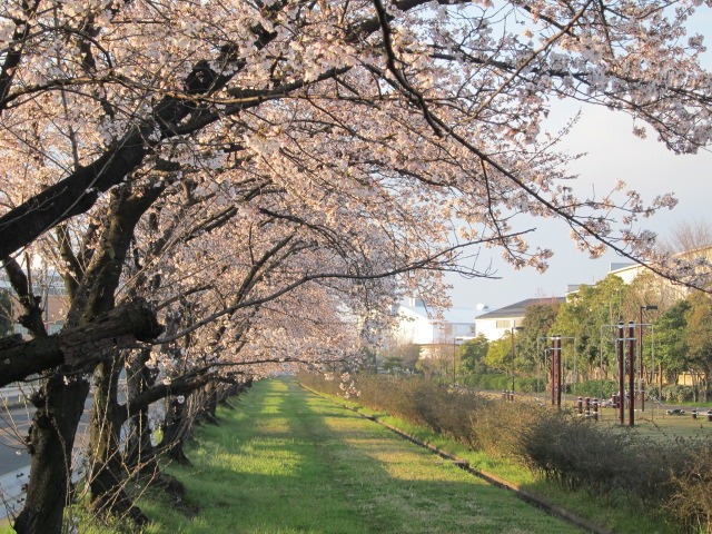 c0225420_8492549.jpg