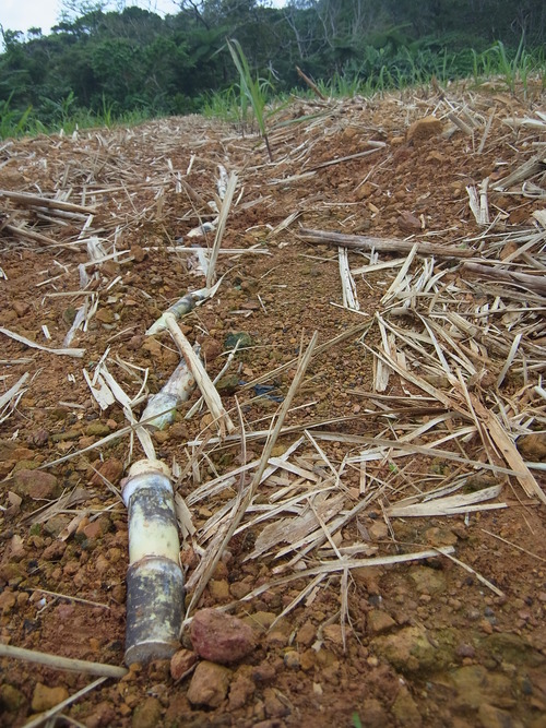 f0142721_1847442.jpg