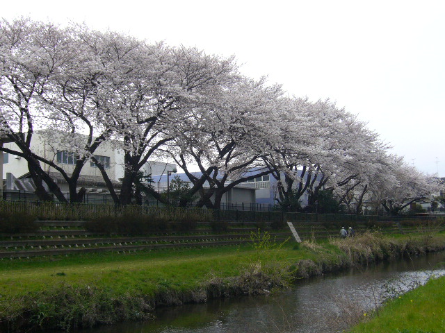 d0000324_1553113.jpg