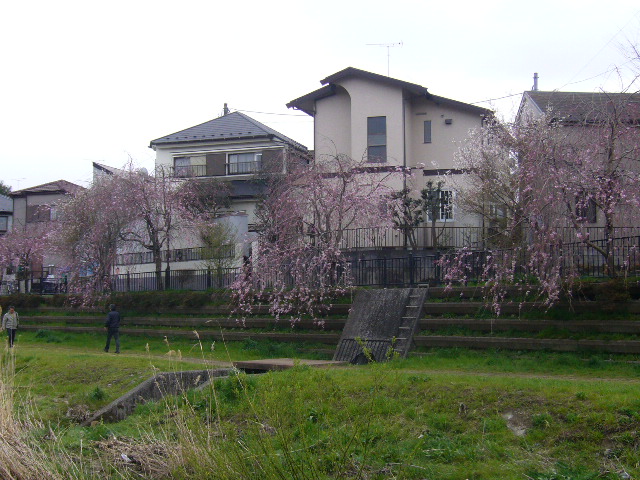 d0000324_155515.jpg