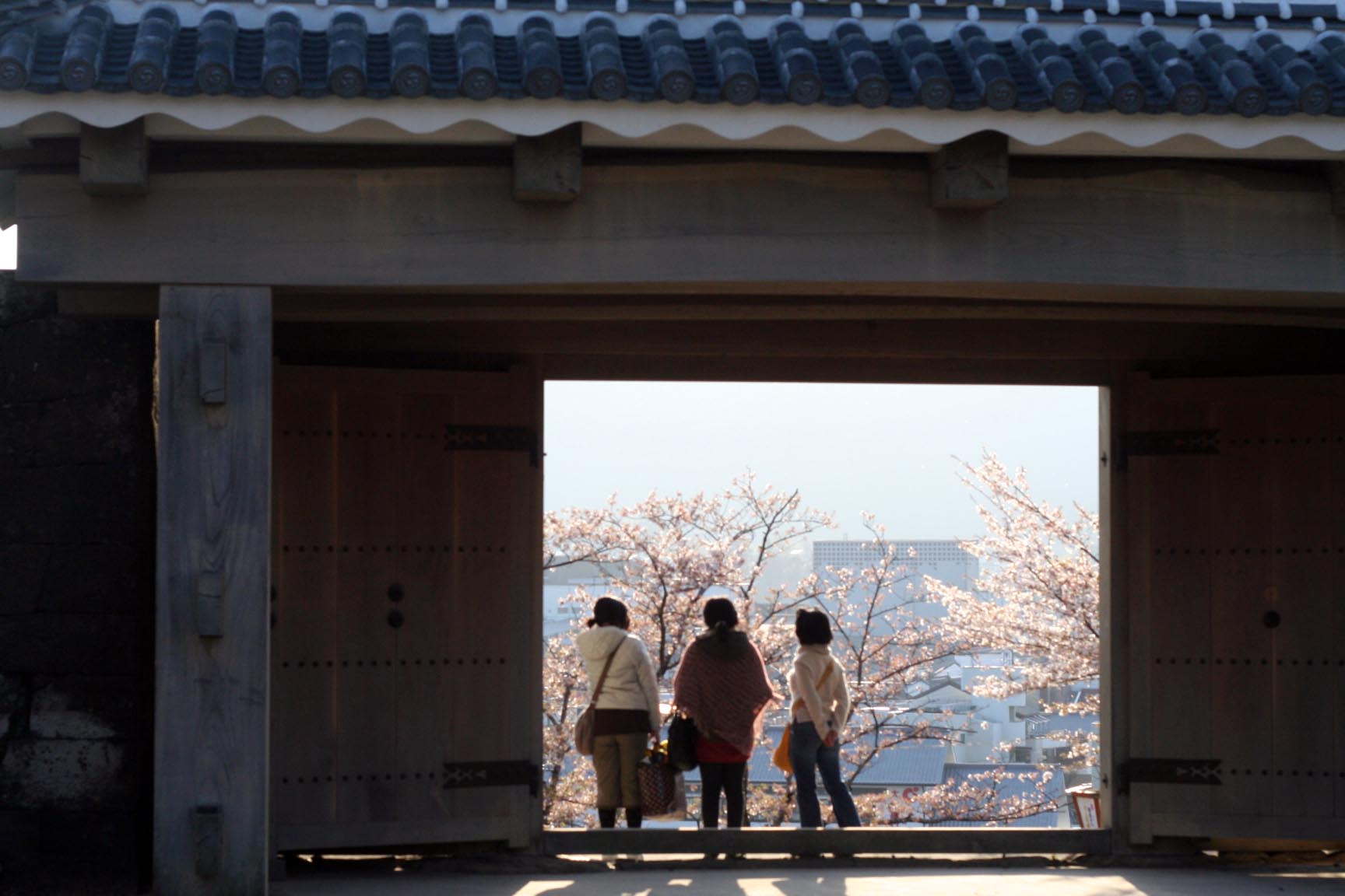 桜の週末　臼杵へ_a0078126_22104346.jpg