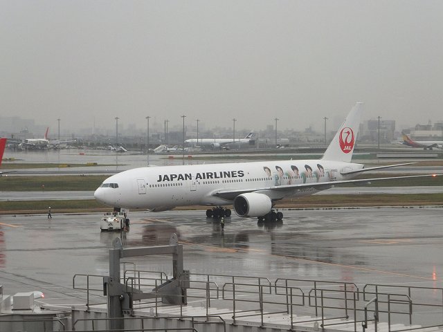 a0198528_03681.jpg