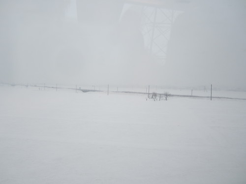 f0009028_011424.jpg