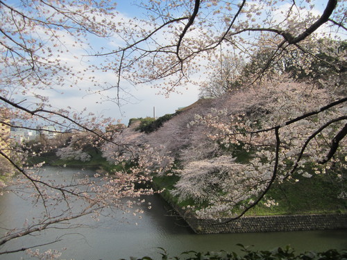 f0009028_06580.jpg