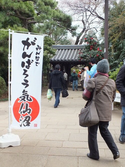 新青梅街道〜中野通り 桜巡り_d0242629_2258543.jpg