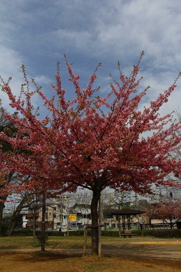 f0229832_2010357.jpg