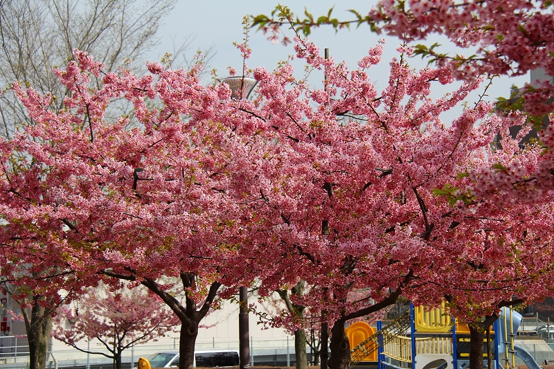 f0229832_20124277.jpg