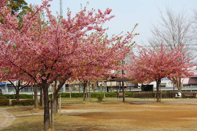 f0229832_20143888.jpg
