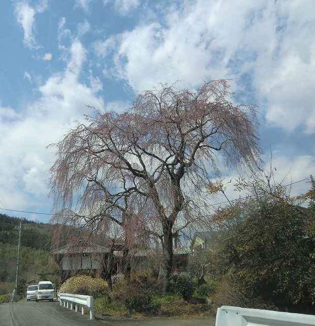 a0006033_1237058.jpg