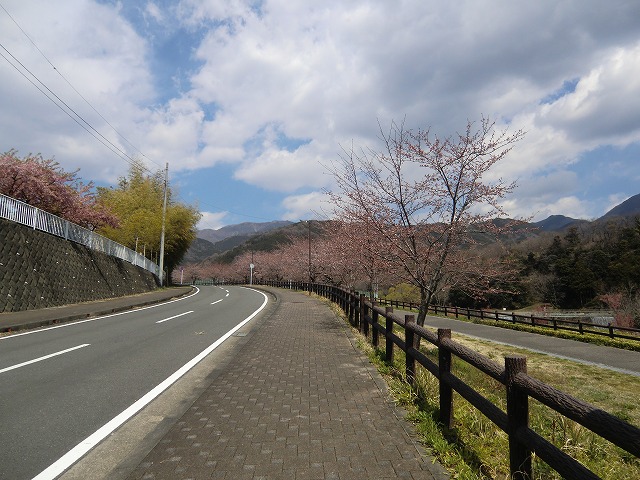 a0006033_12374125.jpg